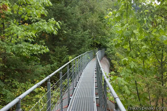 Passerella della foresta del sentiero dell'oleodotto