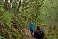 Latourell Falls Trail