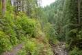Larch Mountain Trail Multnomah Creek