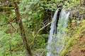 Ecola Falls Larch Mountain Trail