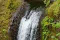 Ecola Falls Larch Mountain Trail