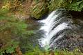 Larch Mountain Trail Multnomah Falls