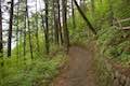 Larch Mountain Trail Multnomah Falls