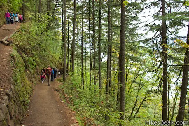 Larch Mountain Trail