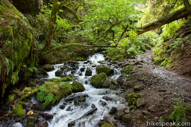 Wahkeena Creek Cascades