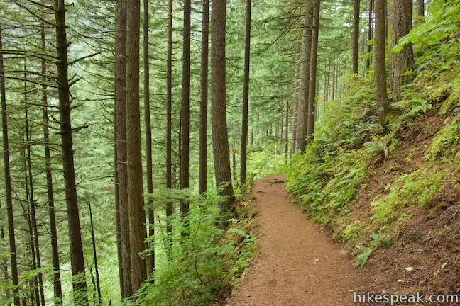 Wahkeena Trail