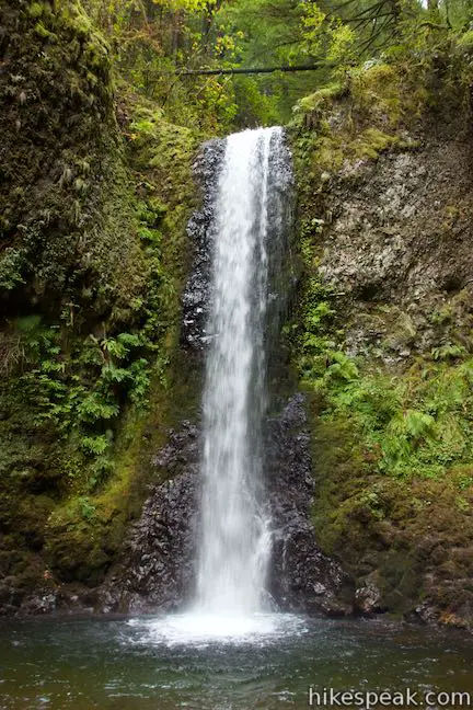Weisendanger Falls Oregon