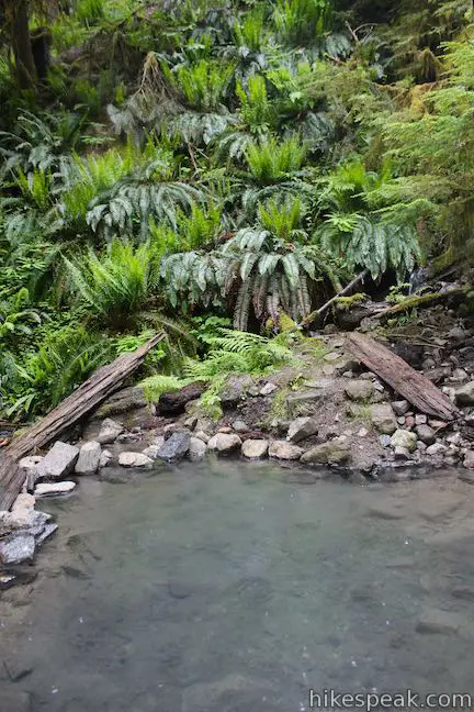 Terwilliger Hot Springs National Forest