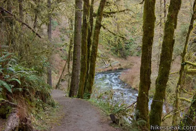 Canyon Trail Silver Falls State Park