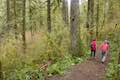 Canyon Trail Junction Maple Ridge Trail