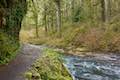 Canyon Trail North Fork Silver Creek