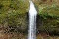 Silver Falls State Park Seasonal Waterfall