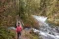 Canyon Trail Double Falls