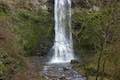 Double Falls Silver Falls State Park