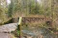 Winter Trail bridge Silver Falls State Park