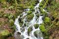 Canyon Trail Cascade