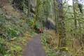 Canyon Trail climbs the side of the canyon by North Falls