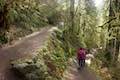  Winter Trail Silver Falls State Park