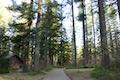 Silver Falls State Park Historical District