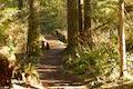 Maple Ridge Trail