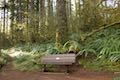 Maple Ridge Trail Bench