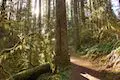 Maple Ridge Trail