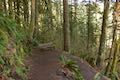 Maple Ridge Trail Bench Switchback