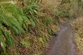 Maple Ridge Trail switchbacks