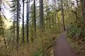 Maple Ridge Trail