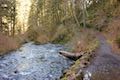 Canyon Trail South Fork Silver Creek