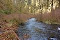 South Fork Silver Creek