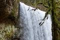 Lower South Falls Trail Silver Falls Sate Park