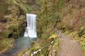 Canyon Trail Silver Falls State Park