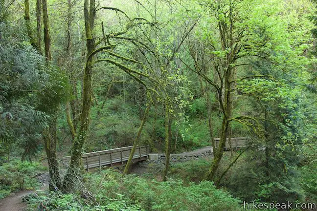 Flicker Trail Marquam Nature Park