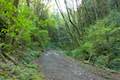 Shelter Loop Trail Marquam Nature Park