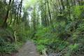 Shelter Loop Trail Marquam Nature Park