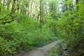 Shelter Loop Trail Marquam Nature Park