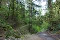 Marquam Trail Shelter Loop Trail