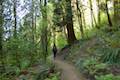 Marquam Trail Hike