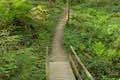 Marquam Trail Marquam Nature Park