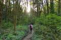 Marquam Trail Hike Marquam Nature Park