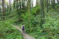 Marquam Trail Hike Marquam Nature Park