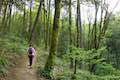 Towhee Trail Marquam Nature Park