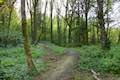 Towhee Trail Marquam Nature Park