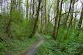 Towhee Trail Marquam Nature Park