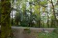 Towhee Trail Marquam Nature Park