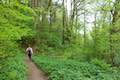 Upper Marquam Hill Trail Marquam Nature Park