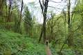 Upper Marquam Hill Trail Marquam Nature Park