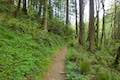 Upper Marquam Hill Trail Marquam Nature Park