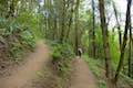 Upper Marquam Hill Trail Marquam Nature Park